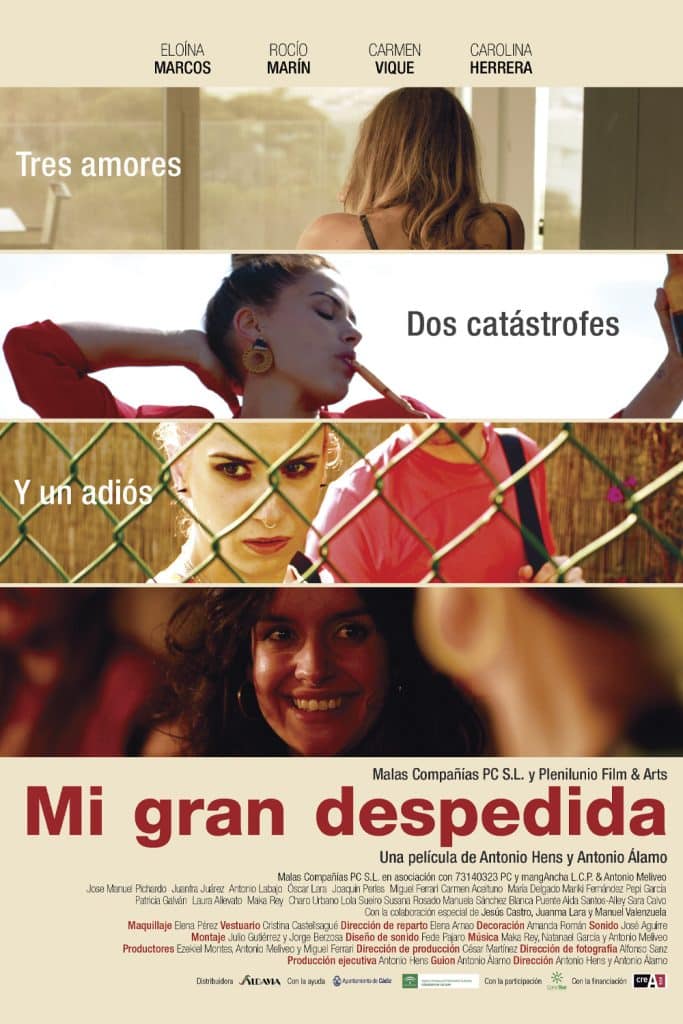 Cartel Mi gran despedida